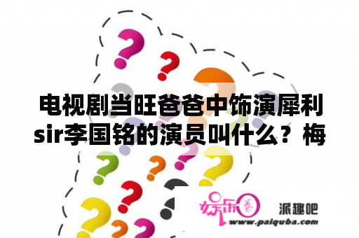 电视剧当旺爸爸中饰演犀利sir李国铭的演员叫什么？梅小青导演的电视剧有哪些？