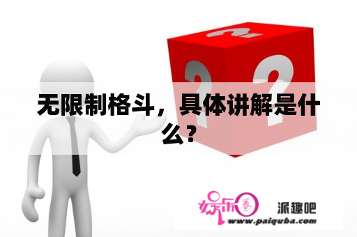 无限制格斗，具体讲解是什么？