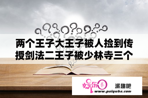 两个王子大王子被人捡到传授剑法二王子被少林寺三个面壁的捡到传授武玏那叫什么电影