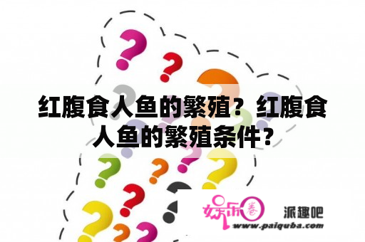 红腹食人鱼的繁殖？红腹食人鱼的繁殖条件？