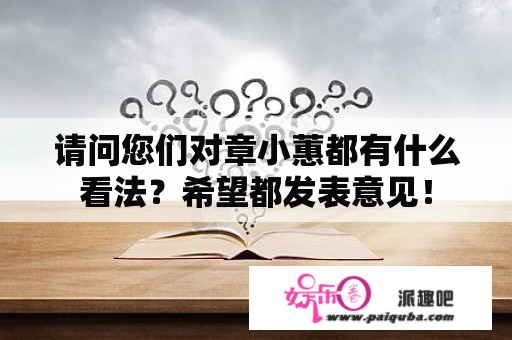 请问您们对章小蕙都有什么看法？希望都发表意见！