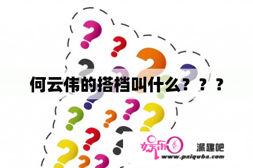 何云伟的搭档叫什么？？？