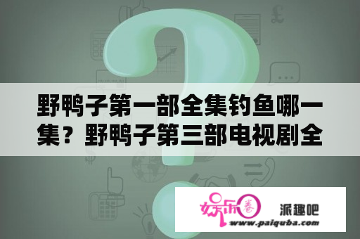 野鸭子第一部全集钓鱼哪一集？野鸭子第三部电视剧全集剧情