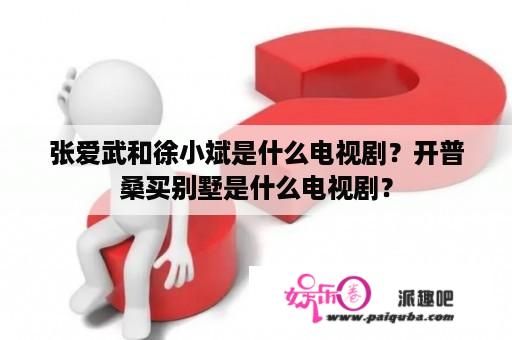 张爱武和徐小斌是什么电视剧？开普桑买别墅是什么电视剧？