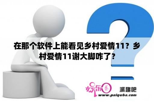 在那个软件上能看见乡村爱情11？乡村爱情11谢大脚咋了？