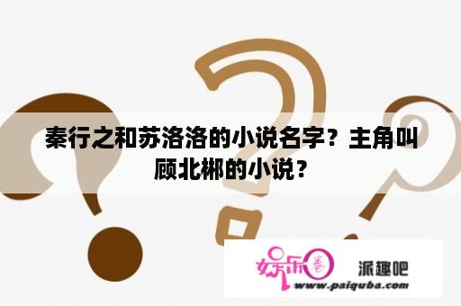 秦行之和苏洛洛的小说名字？主角叫顾北郴的小说？