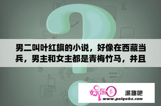 男二叫叶红旗的小说，好像在西藏当兵，男主和女主都是青梅竹马，并且在一个院长大？高干宠文超宠一对一？