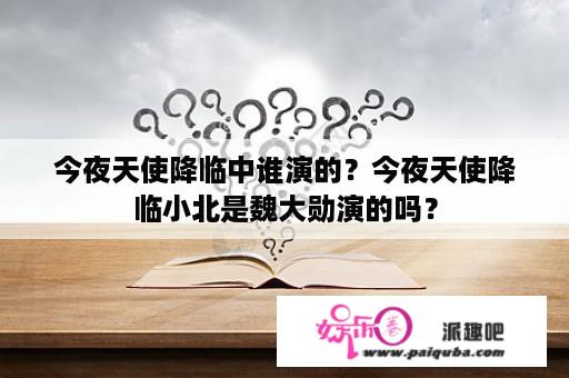 今夜天使降临中谁演的？今夜天使降临小北是魏大勋演的吗？