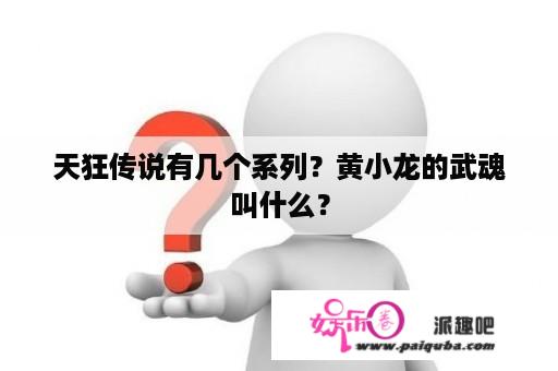 天狂传说有几个系列？黄小龙的武魂叫什么？