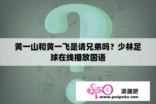 黄一山和黄一飞是请兄弟吗？少林足球在线播放国语