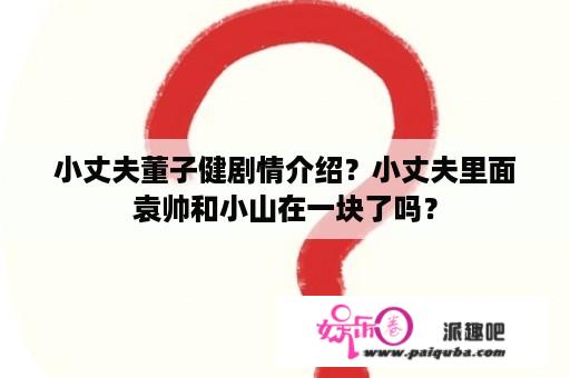 小丈夫董子健剧情介绍？小丈夫里面袁帅和小山在一块了吗？