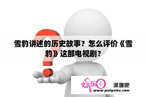 雪豹讲述的历史故事？怎么评价《雪豹》这部电视剧？