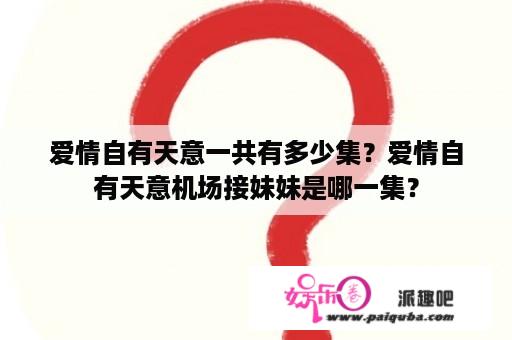 爱情自有天意一共有多少集？爱情自有天意机场接妹妹是哪一集？