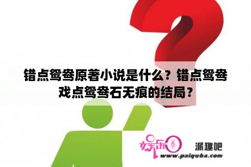 错点鸳鸯原著小说是什么？错点鸳鸯戏点鸳鸯石无痕的结局？