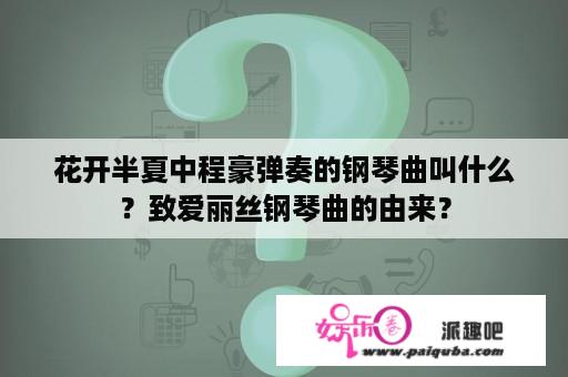 花开半夏中程豪弹奏的钢琴曲叫什么？致爱丽丝钢琴曲的由来？