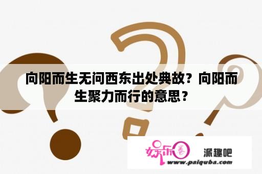 向阳而生无问西东出处典故？向阳而生聚力而行的意思？