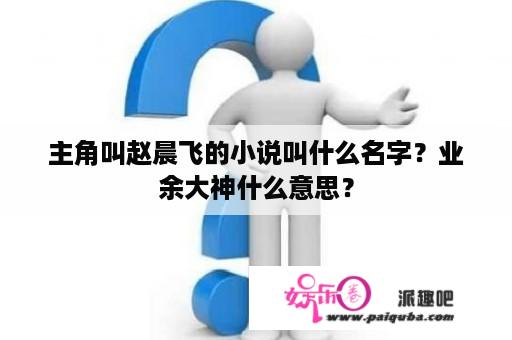 主角叫赵晨飞的小说叫什么名字？业余大神什么意思？