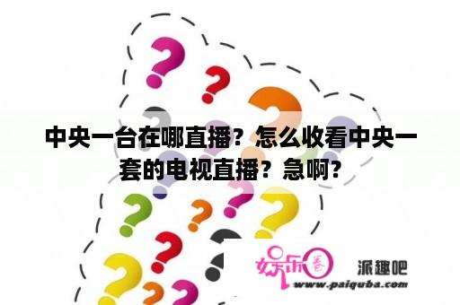 中央一台在哪直播？怎么收看中央一套的电视直播？急啊？