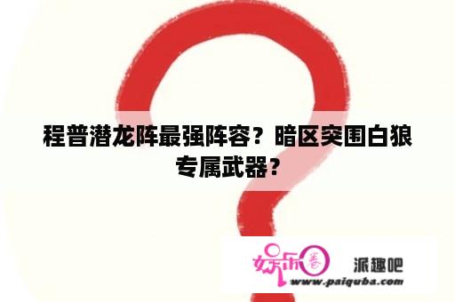 程普潜龙阵最强阵容？暗区突围白狼专属武器？