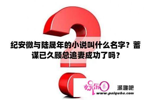 纪安微与陆晟年的小说叫什么名字？蓄谋已久顾总追妻成功了吗？