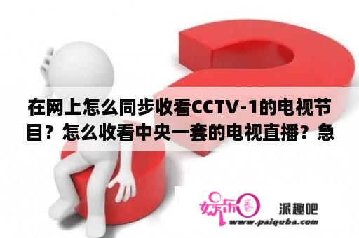 在网上怎么同步收看CCTV-1的电视节目？怎么收看中央一套的电视直播？急啊？