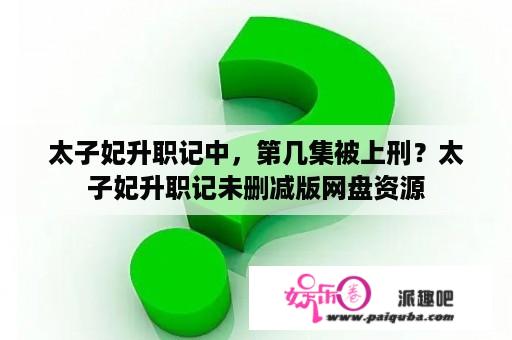 太子妃升职记中，第几集被上刑？太子妃升职记未删减版网盘资源