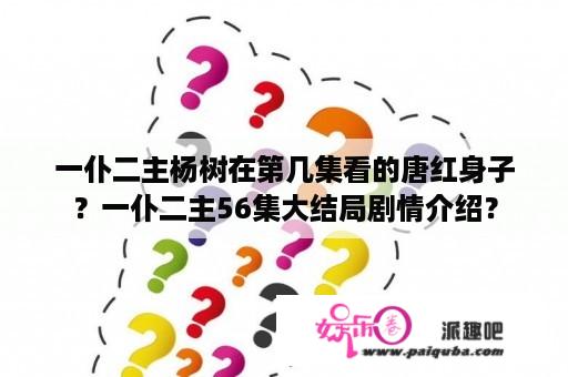 一仆二主杨树在第几集看的唐红身子？一仆二主56集大结局剧情介绍？