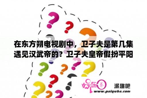 在东方朔电视剧中，卫子夫是第几集遇见汉武帝的？卫子夫皇帝假扮平阳侯私访是第几集？