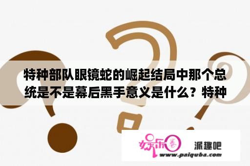 特种部队眼镜蛇的崛起结局中那个总统是不是幕后黑手意义是什么？特种部队(眼镜蛇的崛起)和特种部队(复仇)是什么关系啊?怎么演员换了几个剧情也不一样了?急需？