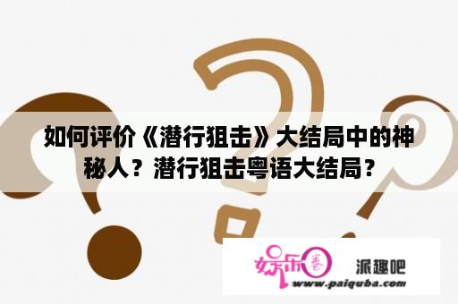 如何评价《潜行狙击》大结局中的神秘人？潜行狙击粤语大结局？