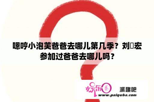 嗯哼小泡芙爸爸去哪儿第几季？刘畊宏参加过爸爸去哪儿吗？