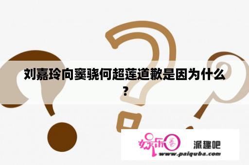 刘嘉玲向窦骁何超莲道歉是因为什么？