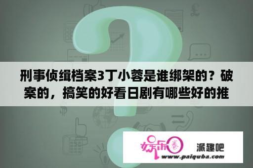 刑事侦缉档案3丁小蓉是谁绑架的？破案的，搞笑的好看日剧有哪些好的推荐呢。类似《富豪刑事ⅠⅡ》；《神探伽利略》这类型的？