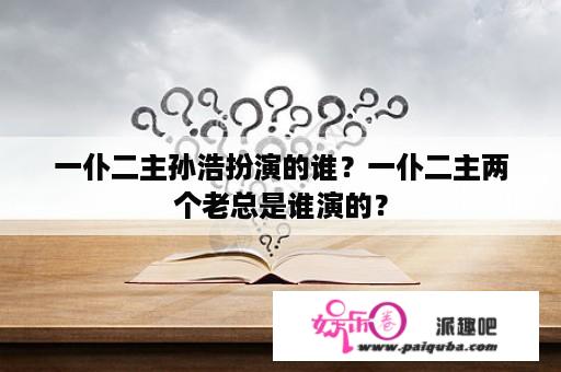 一仆二主孙浩扮演的谁？一仆二主两个老总是谁演的？