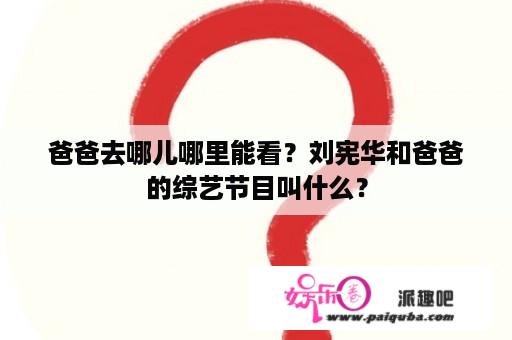 爸爸去哪儿哪里能看？刘宪华和爸爸的综艺节目叫什么？