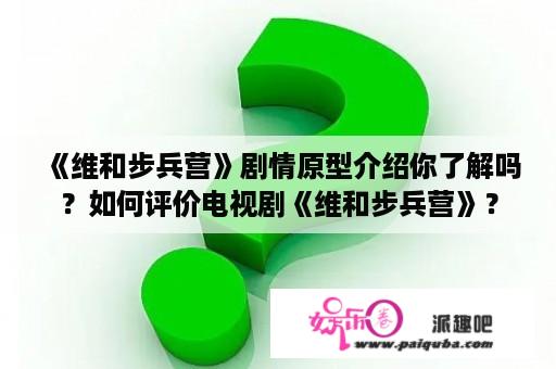 《维和步兵营》剧情原型介绍你了解吗？如何评价电视剧《维和步兵营》？