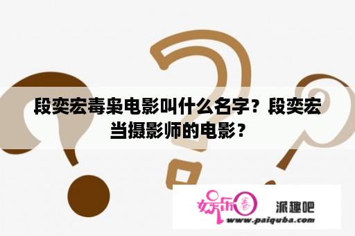 段奕宏毒枭电影叫什么名字？段奕宏当摄影师的电影？