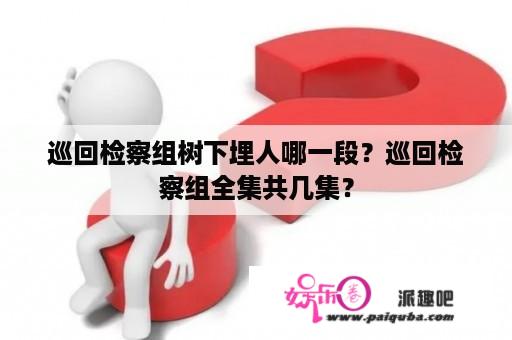 巡回检察组树下埋人哪一段？巡回检察组全集共几集？