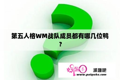 第五人格WM战队成员都有哪几位鸭？