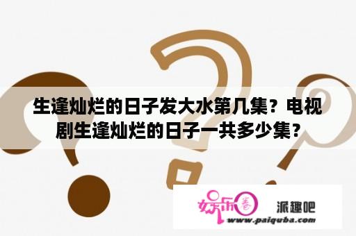 生逢灿烂的日子发大水第几集？电视剧生逢灿烂的日子一共多少集？