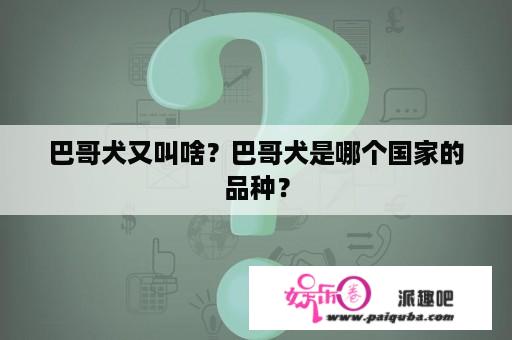 巴哥犬又叫啥？巴哥犬是哪个国家的品种？