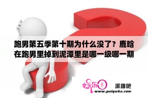 跑男第五季第十期为什么没了？鹿晗在跑男里掉到泥潭里是哪一级哪一期？