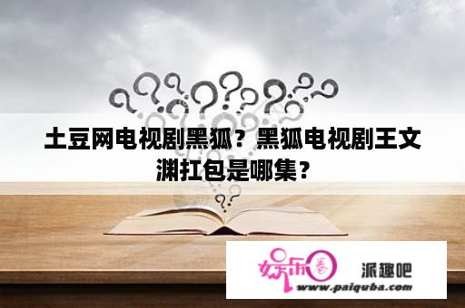 土豆网电视剧黑狐？黑狐电视剧王文渊扛包是哪集？