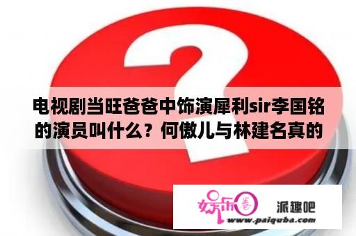 电视剧当旺爸爸中饰演犀利sir李国铭的演员叫什么？何傲儿与林建名真的在一起了吗？