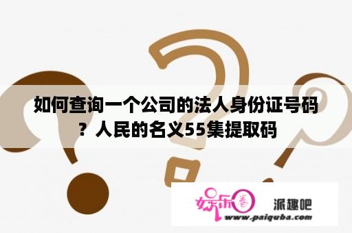 如何查询一个公司的法人身份证号码？人民的名义55集提取码