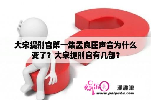 大宋提刑官第一集孟良臣声音为什么变了？大宋提刑官有几部？