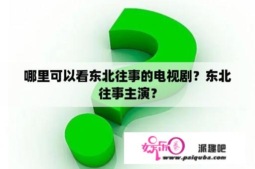 哪里可以看东北往事的电视剧？东北往事主演？