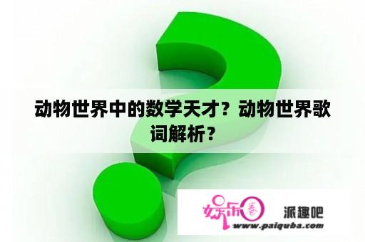 动物世界中的数学天才？动物世界歌词解析？