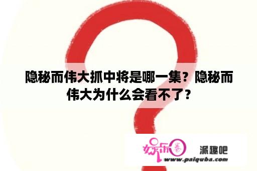 隐秘而伟大抓中将是哪一集？隐秘而伟大为什么会看不了？