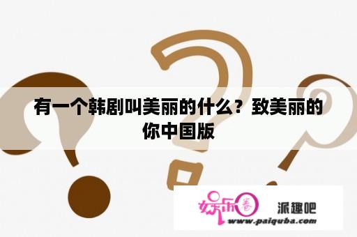 有一个韩剧叫美丽的什么？致美丽的你中国版